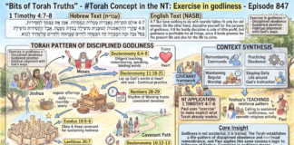 Bits of Torah Truths – #Torah Concept in the NT: Exercise in godliness – Episode 847
