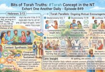 Bits of Torah Truths – #Torah Concept in the NT: Exhort one another daily – Episode 849