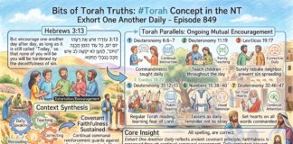 Bits of Torah Truths – #Torah Concept in the NT: Exhort one another daily – Episode 849