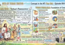 Bits of Torah Truths – #Torah Concept in the NT: Fear Not – Episode 850