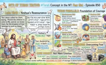 Bits of Torah Truths – #Torah Concept in the NT: Fear Not – Episode 850