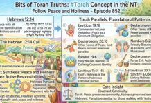 Bits of Torah Truths – #Torah Concept in the NT: Follow peace and holiness – Episode 852
