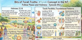 Bits of Torah Truths – #Torah Concept in the NT: Follow peace and holiness – Episode 852