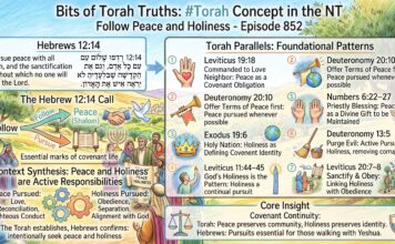 Bits of Torah Truths – #Torah Concept in the NT: Follow peace and holiness – Episode 852