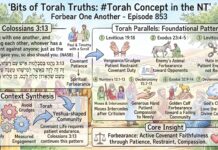 Bits of Torah Truths – #Torah Concept in the NT: Forbear one another – Episode 853