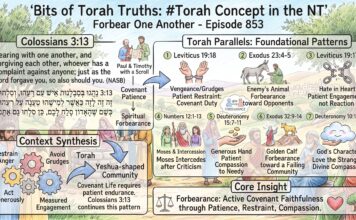 Bits of Torah Truths – #Torah Concept in the NT: Forbear one another – Episode 853