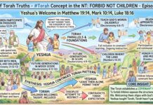 Bits of Torah Truths – #Torah Concept in the NT: Forbid not children – Episode 854