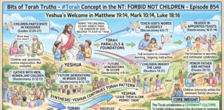 Bits of Torah Truths – #Torah Concept in the NT: Forbid not children – Episode 854
