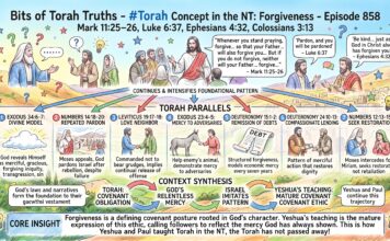 Bits of Torah Truths – #Torah Concept in the NT: Forgive – Episode 858