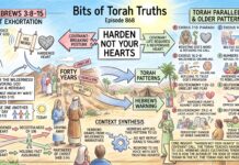 Bits of Torah Truths – #Torah Concept in the NT: Harden not your hearts – Episode 868