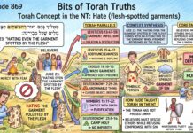Bits of Torah Truths – #Torah Concept in the NT: Hate flesh spotted garments – Episode 869