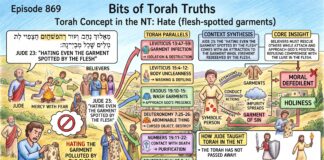 Bits of Torah Truths – #Torah Concept in the NT: Hate flesh spotted garments – Episode 869