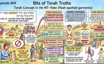 Bits of Torah Truths – #Torah Concept in the NT: Hate flesh spotted garments – Episode 869