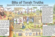 Bits of Torah Truths – #Torah Concept in the NT: Have no respect of person – Episode 870