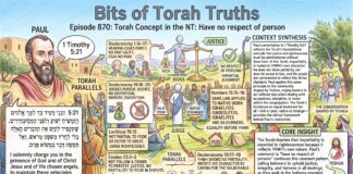 Bits of Torah Truths – #Torah Concept in the NT: Have no respect of person – Episode 870