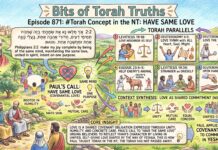 Bits of Torah Truths – #Torah Concept in the NT: Have same love – Episode 871