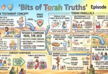Bits of Torah Truths – #Torah Concept in the NT: Heal the sick – Episode 873
