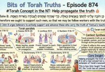 Bits of Torah Truths – #Torah Concept in the NT: Help propagate the truth – Episode 874