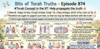 Bits of Torah Truths – #Torah Concept in the NT: Help propagate the truth – Episode 874