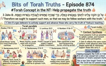 Bits of Torah Truths – #Torah Concept in the NT: Help propagate the truth – Episode 874