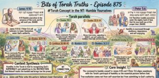 Bits of Torah Truths – #Torah Concept in the NT: Humble yourselves – Episode 875
