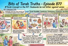 Bits of Torah Truths – #Torah Concept in the NT: Husbands be not bitter against wives – Episode 877