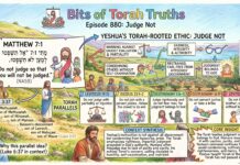Bits of Torah Truths – #Torah Concept in the NT: Judge not – Episode 880