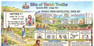 Bits of Torah Truths – #Torah Concept in the NT: Judge not – Episode 880