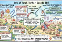 Bits of Torah Truths – #Torah Concept in the NT: Lay hold on eternal life – Episode 885