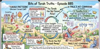 Bits of Torah Truths – #Torah Concept in the NT: Lay hold on eternal life – Episode 885