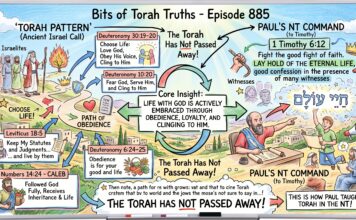 Bits of Torah Truths – #Torah Concept in the NT: Lay hold on eternal life – Episode 885