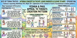 Bits of Torah Truths – #Torah Concept in the NT: Leave parents and cleave to wife – Episode 886