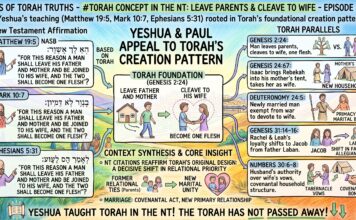 Bits of Torah Truths – #Torah Concept in the NT: Leave parents and cleave to wife – Episode 886