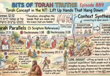 Bits of Torah Truths – #Torah Concept in the NT: Lift up hands that hang down – Episode 889