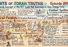 Bits of Torah Truths – #Torah Concept in the NT: Look not everyone on own things only – Episode 890
