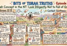 Bits of Torah Truths – #Torah Concept in the NT: Look diligently not to fail of grace – Episode 891