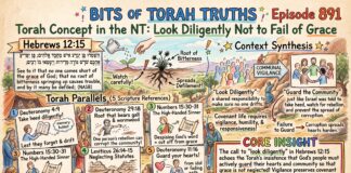 Bits of Torah Truths – #Torah Concept in the NT: Look diligently not to fail of grace – Episode 891