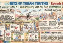 Bits of Torah Truths – #Torah Concept in the NT: Look diligently lest any root of bitterness defile – Episode 892