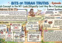 Bits of Torah Truths – #Torah Concept in the NT: Look diligently lest any be a fornicator – Episode 893