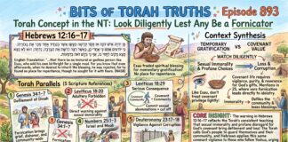 Bits of Torah Truths – #Torah Concept in the NT: Look diligently lest any be a fornicator – Episode 893