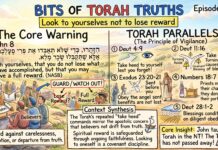 Bits of Torah Truths – #Torah Concept in the NT: Look to yourselves not to lose reward – Episode 894