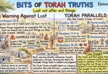 Bits of Torah Truths – #Torah Concept in the NT: Lust not after evil things – Episode 896