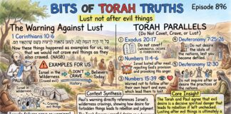 Bits of Torah Truths – #Torah Concept in the NT: Lust not after evil things – Episode 896