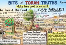 Bits of Torah Truths – #Torah Concept in the NT: Make tree good or corrupt – Episode 897