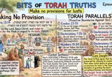 Bits of Torah Truths – #Torah Concept in the NT: Make no provisions for lusts – Episode 898