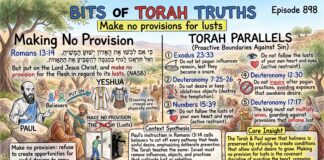 Bits of Torah Truths – #Torah Concept in the NT: Make no provisions for lusts – Episode 898
