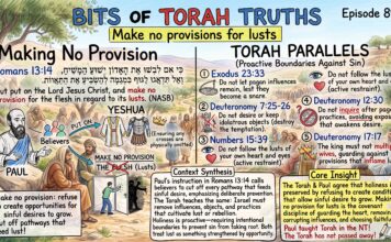 Bits of Torah Truths – #Torah Concept in the NT: Make no provisions for lusts – Episode 898
