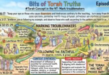 Bits of Torah Truths – #Torah Concept in the NT: Mark troublemakers – Episode 901