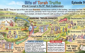 Bits of Torah Truths – #Torah Concept in the NT: Mark troublemakers – Episode 901